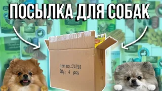 БОЛЬШАЯ ПОСЫЛКА ДЛЯ СОБАК 📦 НОВЫЕ МИСКИ / ЛАКОМСТВА / ИГРУШКИ