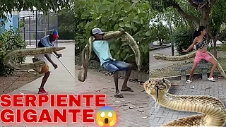 La serpiente🐍 super gigante😱parte 2#viral