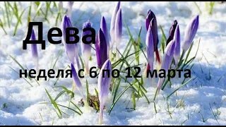 Дева таро прогноз на неделю с 6 по 12 марта 2023 года.