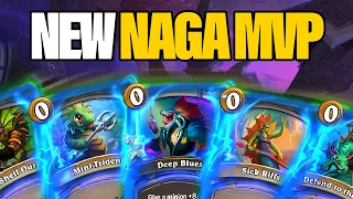 The New MVP In Naga Builds Gives So Much Value | Dogdog Hearthstone Battlegrounds