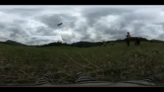CH47 Chinook  bucket drop in 360 Video