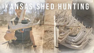 Fresh Land, Fresh Finds: Shed Hunting on Our New Property!