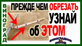 🍇 Не приступай к обрезке пока не узнаешь об этих почках на винограде. Как подсчитать угловые глазки.