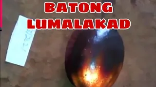 ANG BATONG LUMALAKAD...