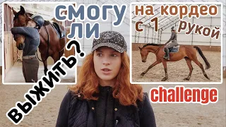 ВЫЖИВИ С 1 РУКОЙ НА КОНЮШНЕ ЧЕЛЛЕНДЖ/день из жизни конника