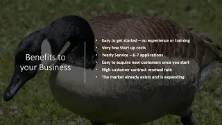 Flight Control Plus Informational Webinar - Get Rid Of Canada Geese!