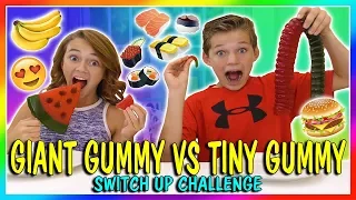 GIANT GUMMY VS TINY GUMMY | SWITCH UP CHALLENGE | We Are The Davises