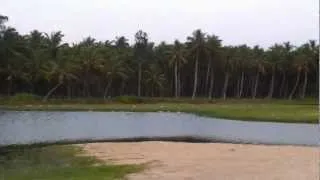 Muriyamthodu beach Thrissur kerala HD