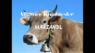 Mariandl - Schlagerlied - Allgäuer Kniabiesler - Volksmusik aus Rammingen