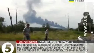 Над територією Донецької області терористи збили пасажирський літак