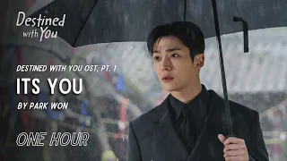 It's You by PARK WON | Destined With You OST Pt. 1 | One Hour Loop | Grugroove🎶