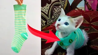 How to Make a DIY clothes from socks|Cat clothes|Art Craft by Linta