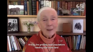 Dr. Jane Goodall’s Message for 2021 P4G Seoul Summit