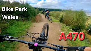 BIKE PARK WALES | A470 Line - Root Manoeuvres