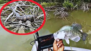 Huge Snake Marks This Spawning Crappie Hot Spot!
