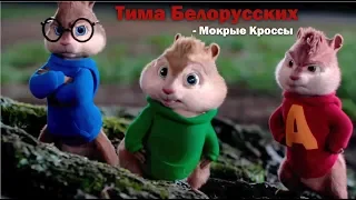 Бурундуки поют Тима Белорусских - МОКРЫЕ КРОССЫ