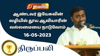 🔴 LIVE 16 MAY 2023 Holy Mass in Tamil 06:00 PM (Evening Mass) | Madha TV