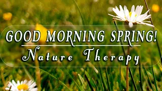 🌿🌞GOOD MORNING SPRING🌼Nature Therapy to Begin Your Day w/ Positive Energy🌿G E N T L E  B R E E Z E#1