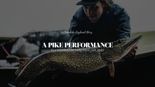 Fly fishing for pike in Swedish Lapland