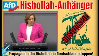Beatrix von Storch, AfD: "Moscheevereine auflösen!"