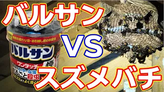 【危険】バルサン VS スズメバチ 【素人が屋根裏の蜂の巣、駆除してみた】絶対マネはしないで！！プロに頼もう！