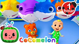 Count all the Baby Sharks! | CoComelon Animal Time - Learning with Animals | Nursery Rhymes for Kids