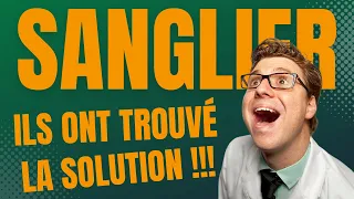 Surpopulation de sangliers : l'idée de génie !