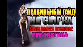 Правильный гайд на сырка | Гайд Silver Ranger INTERLUDE