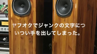 DIATONE P-610DB  フルレンジSP