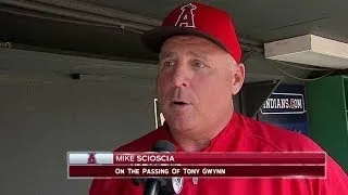 Scioscia on the passing of Gwynn