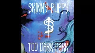 Skin͟n͟y͟ ͟P͟u͟ppy - Too D͟a͟r͟k͟ Park (1990) full album