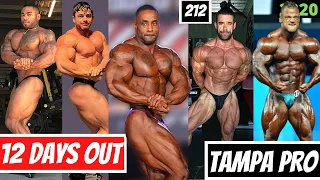 12 Days out 2020 TAMPA PRO - 212 Class- Bodybuilding News Today Ep.1