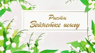 Рысты Зейнетке шығу 24 02 2024