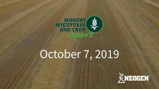 Monday Mycotoxin and Crop Report for October 7, 2019