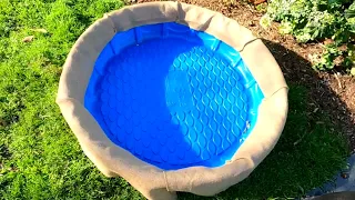 After Seeing This EVERYONE Will Be Buying Blue Plastic Kiddie Pools!