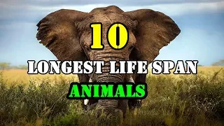 10 Longest Life Span of Animals | Top10 Dotcom |