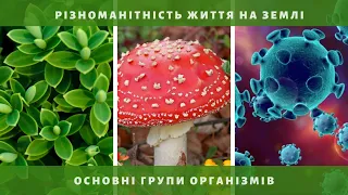 РІЗНОМАНІТНІСТЬ ЖИТТЯ НА ЗЕМЛІ | 6 клас