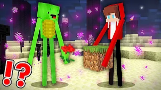 JJ and Mikey Became ENDERMAN in Minecraft