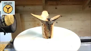 Woodturning A 'Simple' Olive Crotch Natural Edge Winged Vase