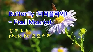 가을 꽃과 나비 & Butterfly (버터플라이) / Paul Mauriat & photo by 모모수계