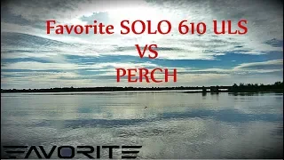 Favorite SOLO vs PERCH