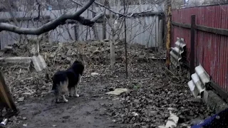 А потом дети не разговаривают,заикаются и писяются у таких мамаш.