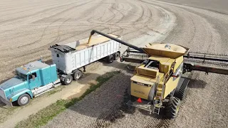 CAT / Claas Lexion Combine Soybean Harvest --Unloading Grain-- OHIO