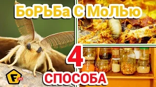 Как ИЗБАВИТЬСЯ ОТ ПИЩЕВОЙ МОЛИ в квартире ✔ как бороться с домашней молью ✔ вывести и моль из кухни