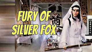 Wu Tang Collection - Fury of Silver Fox