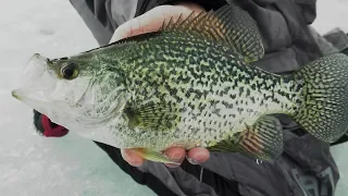 Ice Fishing Crappie in Extreme Shallow Water