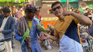 Main Parinda Nahi Palon Ga??? | Cheater in Lalukhet Birds Market | PBI Official