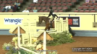 A Judge's Perspective: 2017 AQHYA Working Hunter World Champion