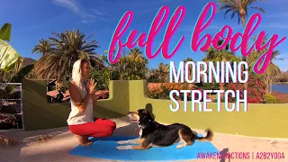 Quick Full body Morning Yoga Stretch to Wake Up | 20 Minute Morning Yoga Practice