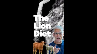 The Lion Diet: Meat, Salt, Water. There's nothing better for a healthier you. #shorts